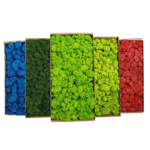 Artificial Coloured Moss 200 g Decorative Moss Grass Fake Green Plants Mini Landscape DIY Crafts Home Garden Decoration Living Room