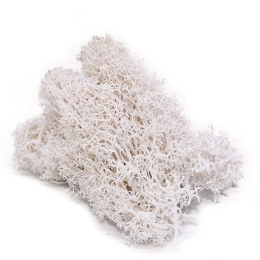 Artificial Decorative Moss C647