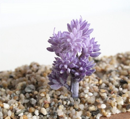 Artificial Succulent