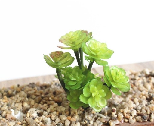 Artificial Succulent C580
