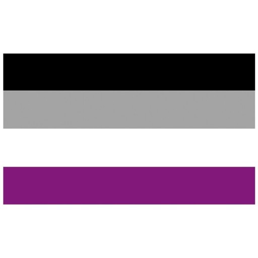 Aseksuel Pride-flag 90 x 150 cm