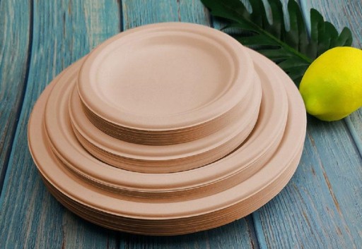 Assiettes en papier 50 pcs
