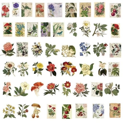 Autocolante cu motive vintage de plante 5,2 x 4 cm 50 bucate multicolore pentru scrapbook jurnal decorare agendă ambalare cadouri creație