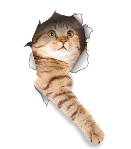 Autocollant 3D étanche pour salle de bain - Chien et Chat