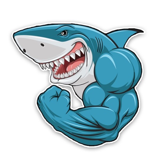 Autocollant requin