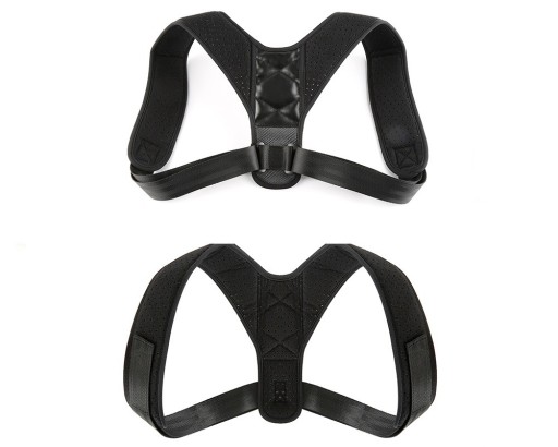 Back Support Belt
