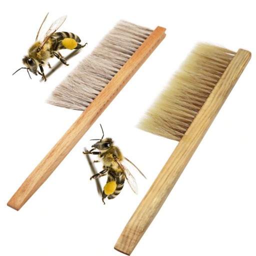 Balai en bois pour apiculteur