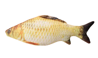 Bamse til katte Fisk 20 cm Bidelegetøj til katte Interaktiv kradse- og bidering Blødt plys til katte