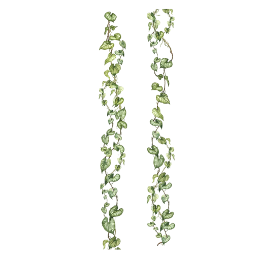 Bandă decorativă transparentă 2,5 x 200 cm cu motiv de viță de vie