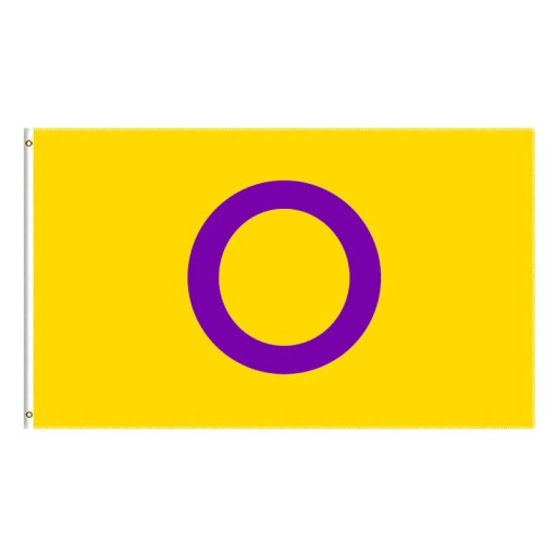 Bandeira de orgulho intersexuais 90 x 150 cm