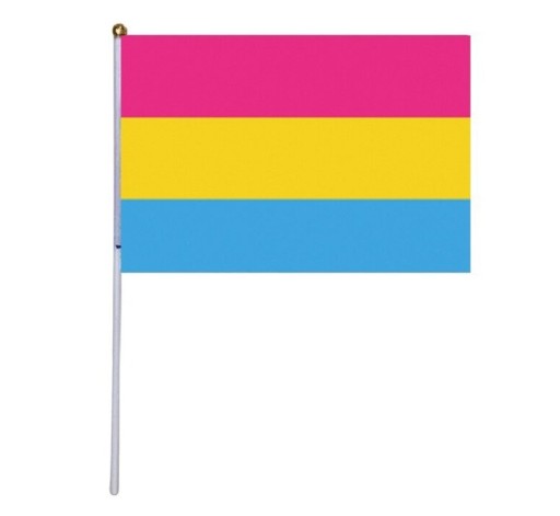 Bandera del Orgullo Pansexual 14 x 21 cm