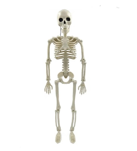 Bevægelig falsk skelet uhyggelig halloween-dekoration halloween-festdekoration justerbar menneskeskeletstatue hængende skelet 40 x 11 cm
