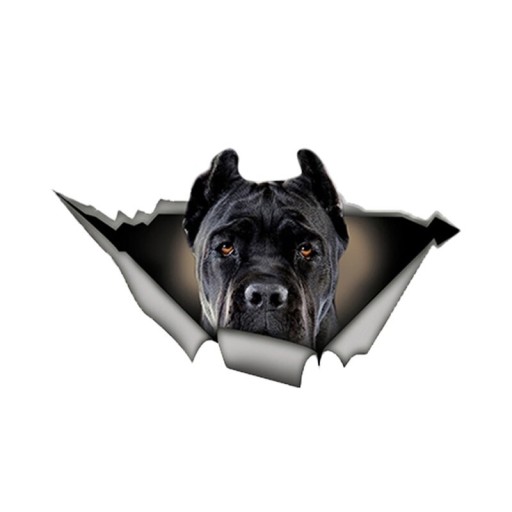 Bildekal hund A1636