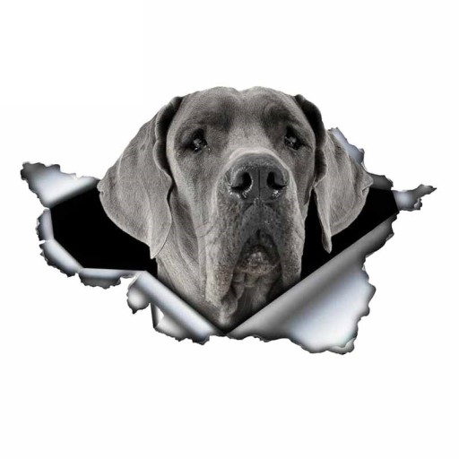 Bildekal hund A1636