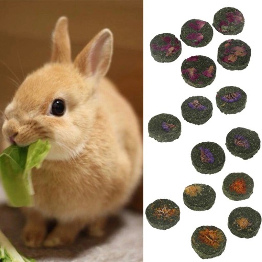 Biscuit en herbe pour rongeurs 5 pcs