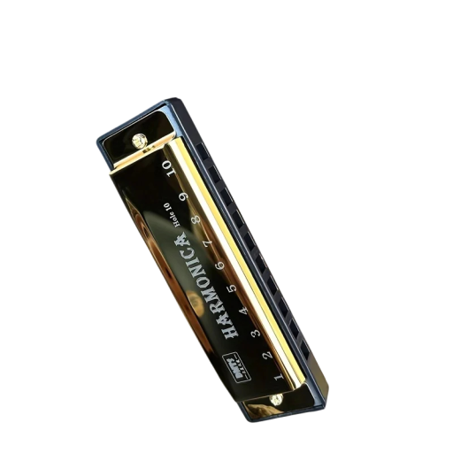 Blåsharmonica C 10 hål kromatisk harmonika med fodral för nybörjare musikinstrument present olika färger praktisk reseförpackning