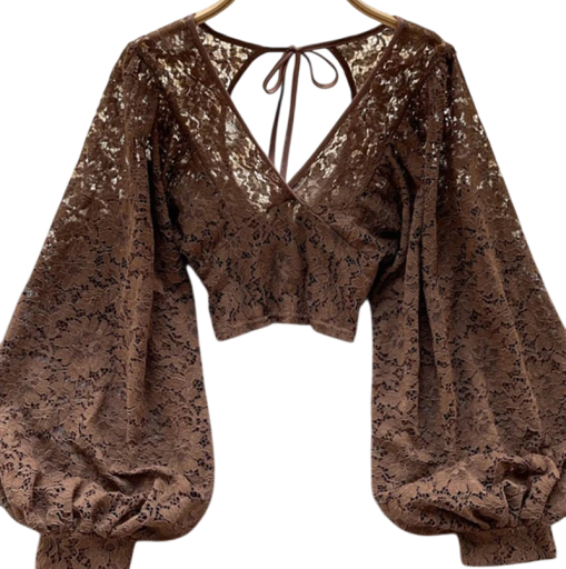 Blusa feminina semi-transparente Tamanho universal Decote em V Manga longa Pregas Laço na nuca