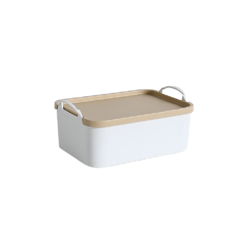 Boîte de rangement avec couvercle Organiseur pour la maison Récipient de rangement Boîte de rangement en plastique 25,8 x 18 x 12 cm