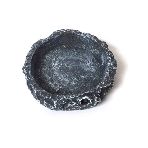Bol pour eau et nourriture pour reptiles
