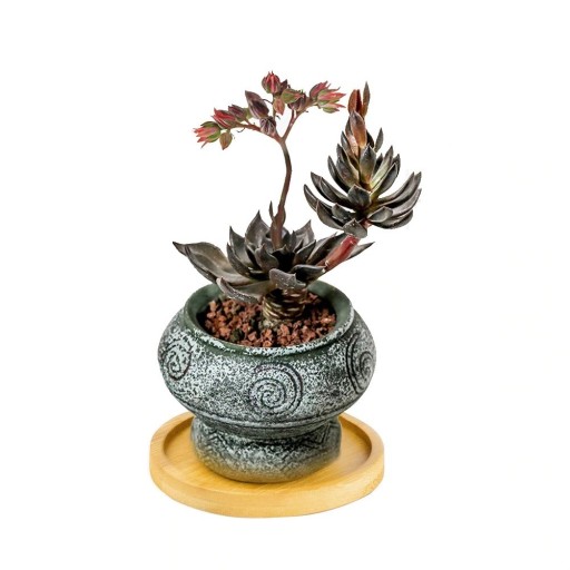 Bol rond pour pot de fleurs