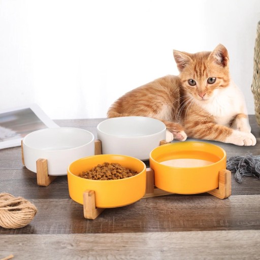 Bols en céramique pour chats avec support