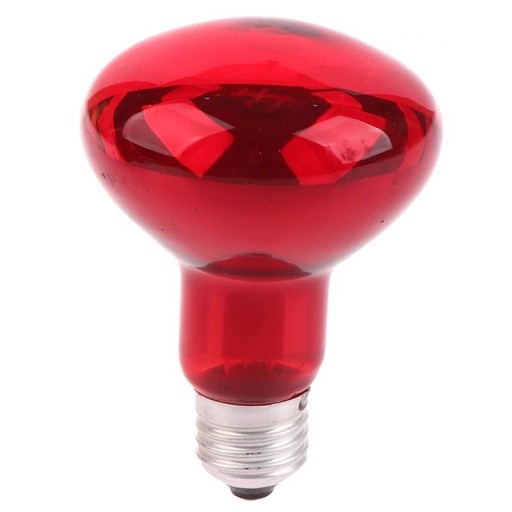 Bombilla de fisioterapia infrarroja de 100 W, luz roja E27, para aliviar el dolor muscular, la circulación sanguínea y las articulaciones