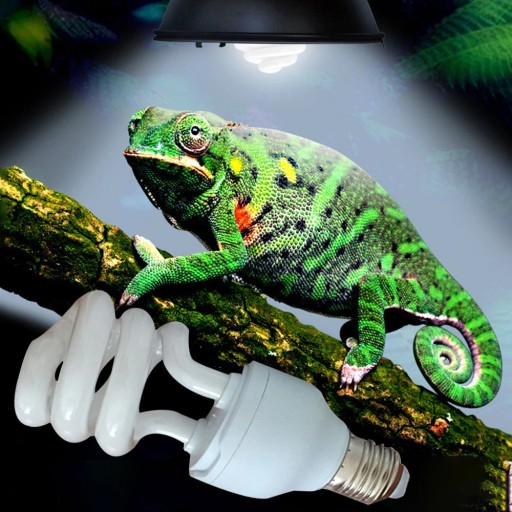 Bombilla para terrario UVB 10.0