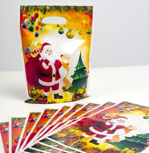Borse regalo natalizie 10 pz