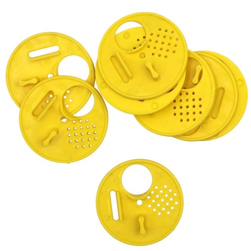 Bouchon à ail pour ruche 20 pcs