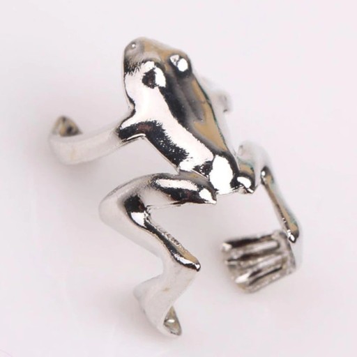 Boucles d'oreilles grenouille