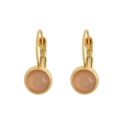 Boucles d'oreilles pendantes pour femmes C1068