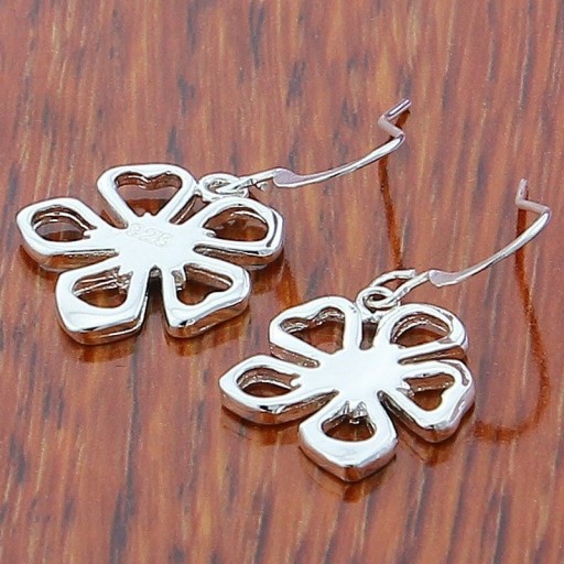 Boucles d'oreilles pendantes pour femmes R72