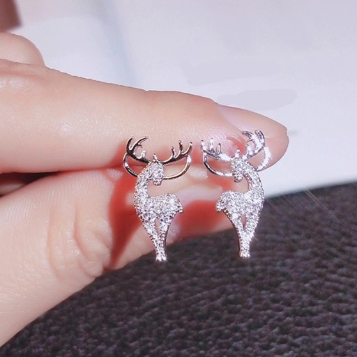 Boucles d'oreilles pour femmes G1330