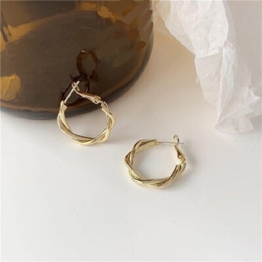 Boucles d'oreilles pour femmes H728