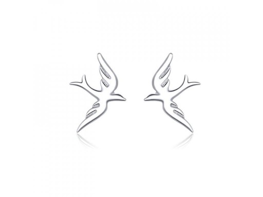 Boucles d'oreilles pour femmes R41