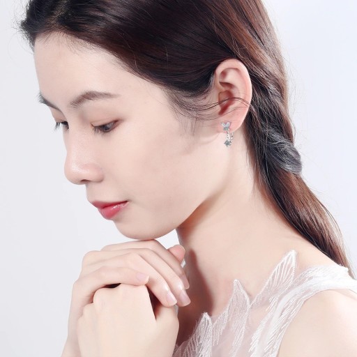 Boucles d'oreilles rondes pour femmes papillon avec strass