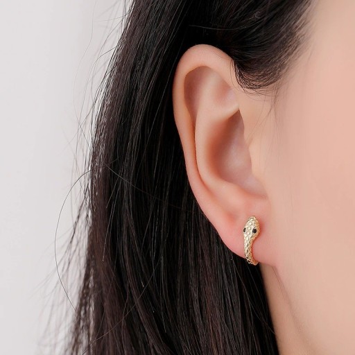 Boucles d'oreilles rondes pour femmes serpent