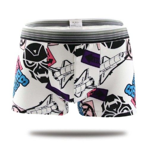 Boxer herr A7