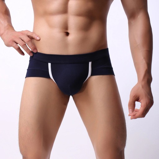 Boxers pour hommes Edward