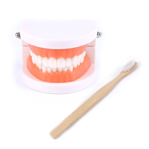 Brinquedo educativo de limpeza de dentes com escova