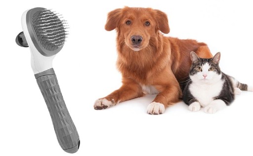 Brosse ovale pour animaux