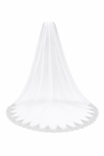 Bruidsv veil 3 m Kathedraal Lang Eenvoudig Tule Kantafwerking Wit Ivoorwit Elegante sluier voor trouwjurken