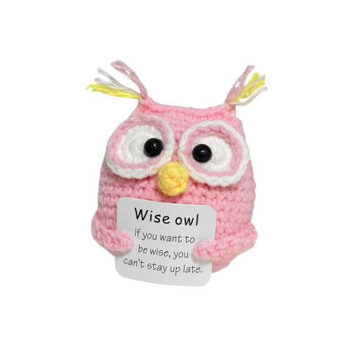 Búho tejido a crochet con inscripción positiva Decoración hecha a mano Amuleto de alegría y felicidad Talismán de energía positiva Regalo original