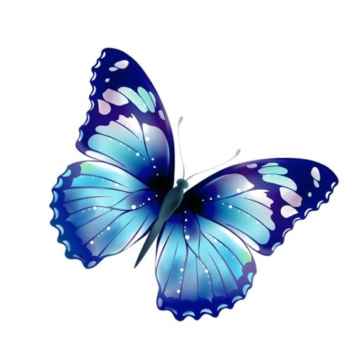 Butterfly bil klistermärke B491
