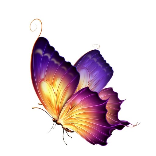 Butterfly bil klistermärke L10