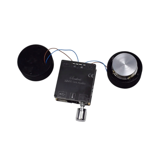 C50L Bluetooth 5.0 Class D 50 W (2x 25 W) 4 Ω AUX and USB Black Vibrating Speaker Set with Amplifier for DIY Home Cinema and Stereo