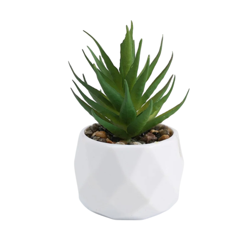 Cactus verde artificiale in vaso di plastica Fiori artificiali succulenti Decorazione per la casa Succulente in plastica realistiche Piante artificiali