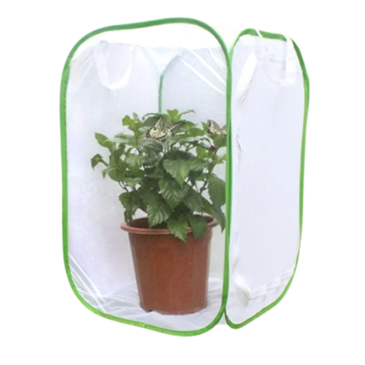 Cage textilă împotriva insectelor, cu plasă, 40 x 40 x 60 cm, material alb cu margine verde pentru protecția plantelor