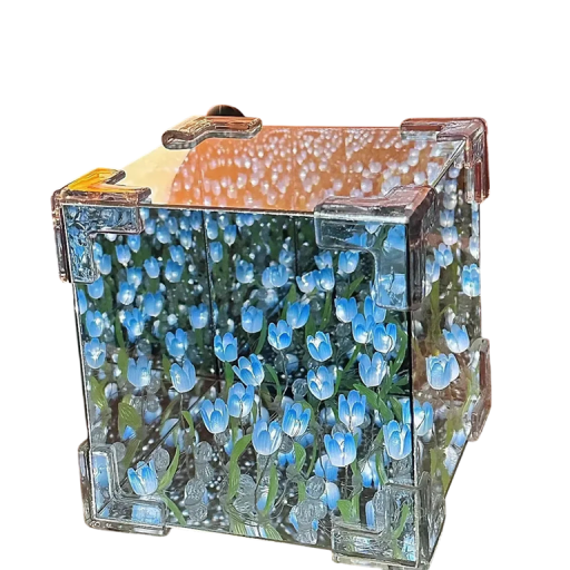 Caixa transparente iluminada DIY criativa com 20 tulipas luzes LED Lâmpada de noite pequena Caixa decorativa marinha Presente para rapariga e mulher