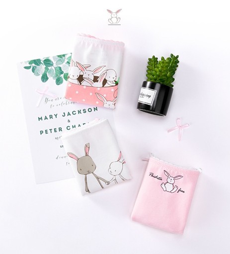 Calcinhas de menina com animais - 3 pcs